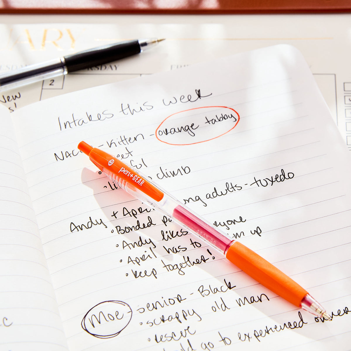 Pen+Gear Retractable Ballpoint Pens, Medium Point, 1.0 mm, 8 Count, Assorted Colors